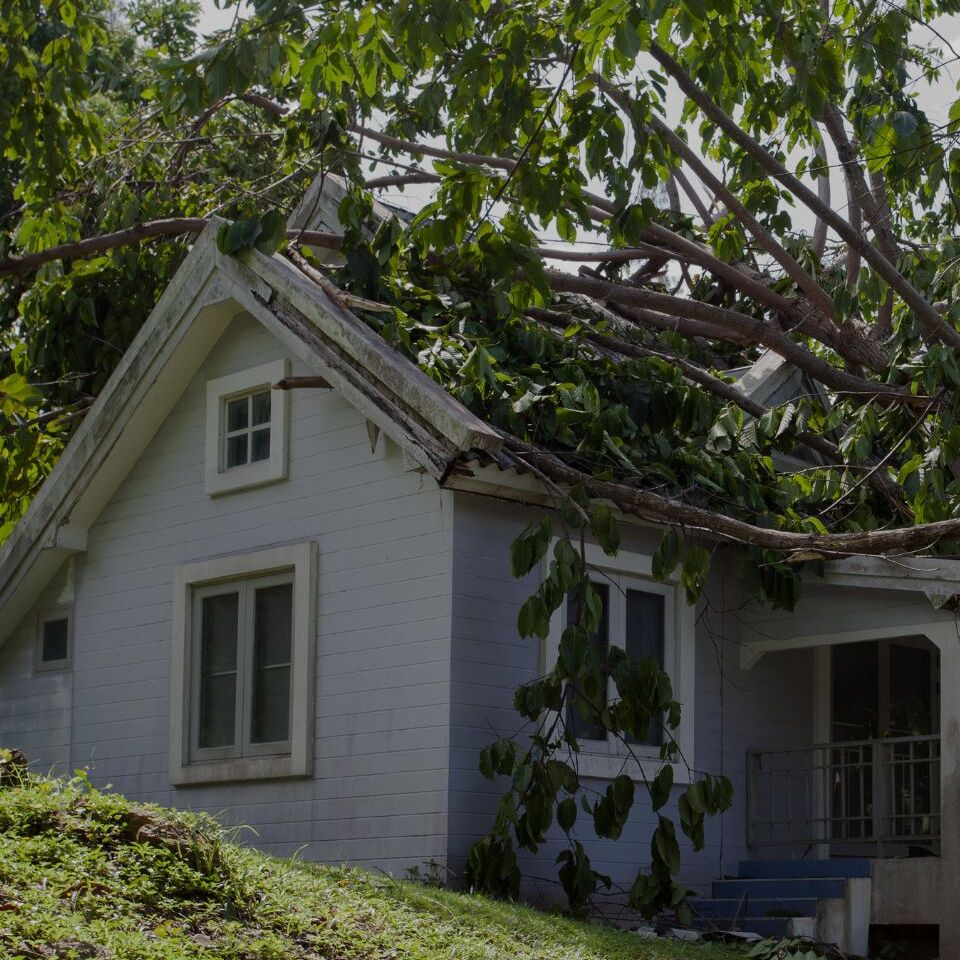 About Columbus Restoration Co in Columbus, OH.