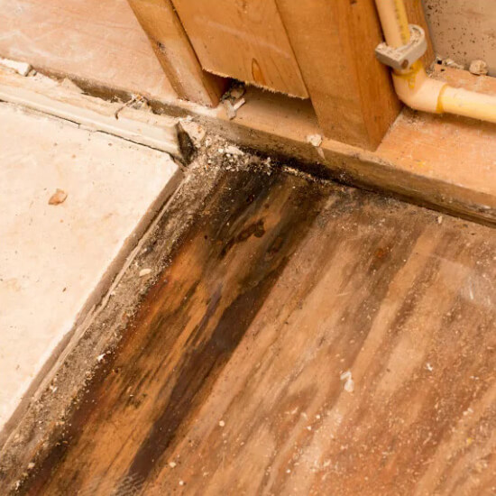 Water Damage Restoration Near Me